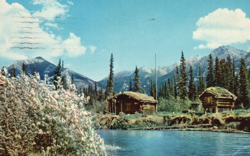 Vintage Postcard 1955 Trapper's Cabin Picturesque Scene Alaska John M. Anderson