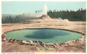 Vintage Postcard 1920's Castle Geyser Yellowstone National Park Wyoming WY