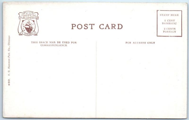 3  Postcards CHICAGO RAILROAD DEPOTS Stations Trains  c1910s  Lasalle Street,etc 