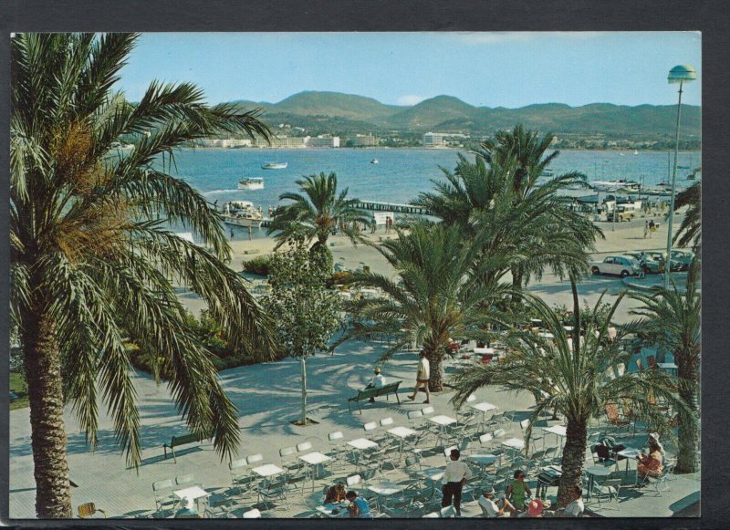 Spain Postcard - The Avenue, San Antonio, Ibiza  RR7413