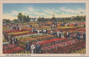 Postcard Nelis Tulip Farm Holland MI