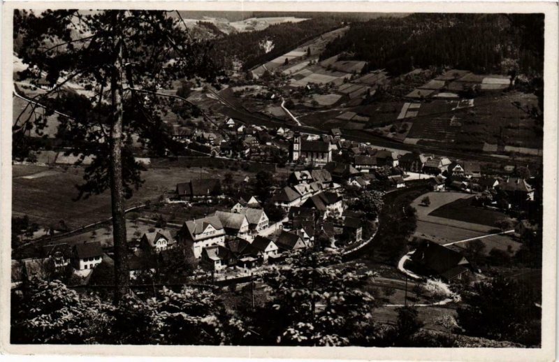 CPA AK Luftkurort Schenkenzell im Schwarzwald GERMANY (738969)