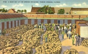 Sponge Industry - Tarpon Springs, Florida FL