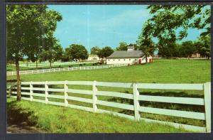 Horse Farm,Bluegrass Region,Lexington,KY BIN