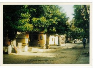 Senegal 1990 Unused Postcard Dakar Street People Houses Animals Trees