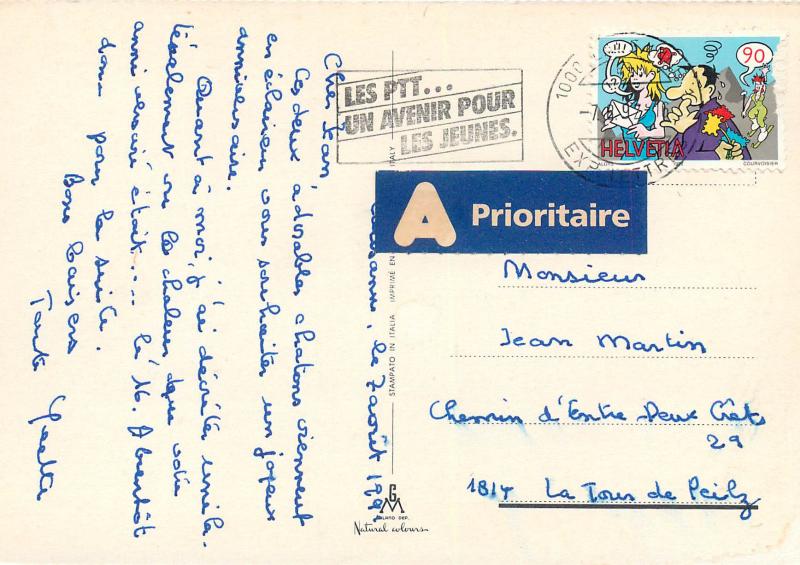 Cute kitties with vintage camera postcard cats