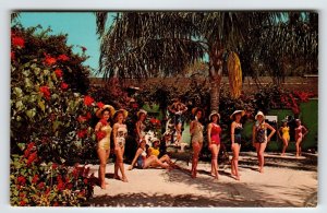 Weeki Wachee Mermaids Florida Postcard Ladies In Swim Suits Gift Shop Curt Teich