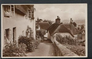 Sussex Postcard - Church Town, Minehead    RS16963