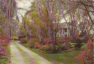 A Beautiful Florence Home Florence South Carolina