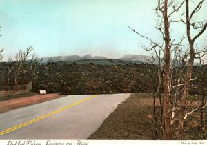 CONTINENTAL SIZE POSTCARD DEAD END HIGHWAY DEVASTATION AREA OF HAWAII 1960s