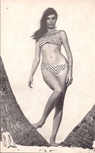 Arcade Card,Sexy Woman, ca. 1950-60's Bikini, Swimsuit, Hair, Pretty Girl 22