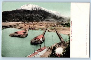 Skagway Alaska AK Postcard Bird's Eye View Of Docks And Town c1905's Antique
