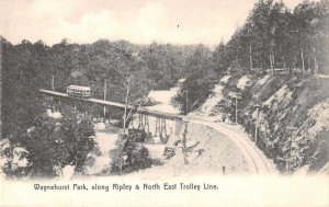 North East Pennsylvania Waynehurst Park Trolley Vintage Postcard AA11563