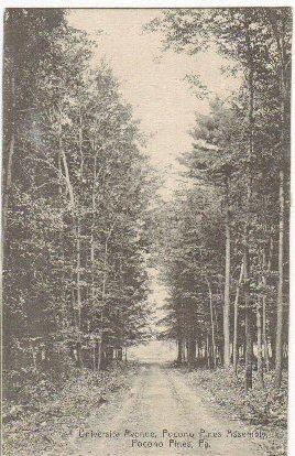 University Avenue Pocono Pines Assembly Pocono Pines PA 1908