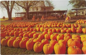 Leroy Pfautz Farm & Market Amish Farm near Reamstown Pennsylvania