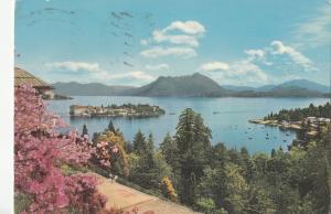 BF23631 stresa lago maggiore panorama con l isola bell  italy   front/back image