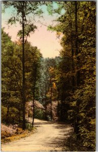 Drive Through McCormick's Creek State Park Spencer IN c1939 Vintage Postcard B69