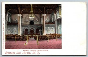 1904    Greetings From  Albany   New York   Postcard