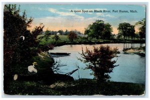 1916 Quiet Spot Black River Ma Sitting Log Boat Port Huron Michigan MI Postcard