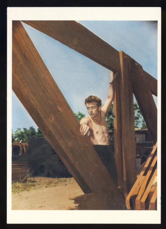 Actor James Dean Postcard, Bare Chested On Wooden Frame