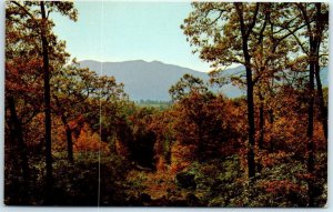 The Black Mountains from Crabtree Meadows - Coffee Shop - Blue Ridge Parkway, NC