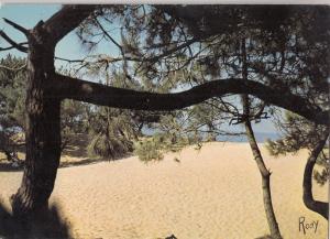 BF21449 saint brevin les pins et les dunes  france  front/back image