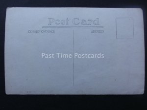 Working Horse & Proud Stable Hand (1) early 1900's RP Postcard