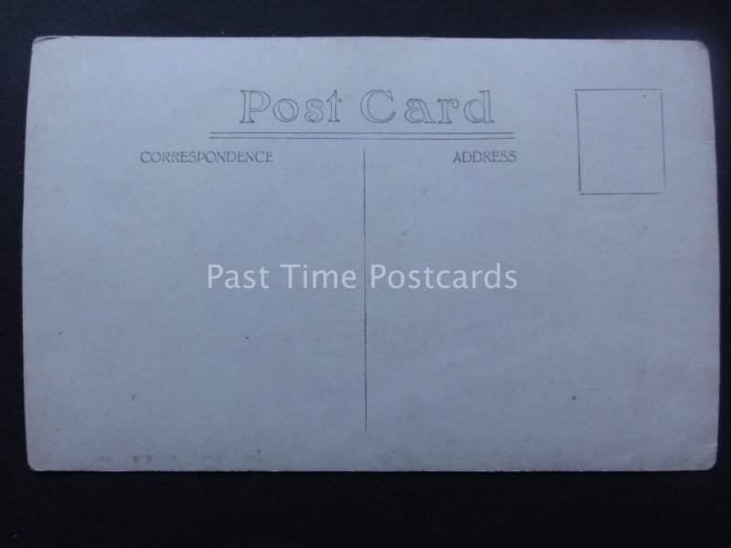 Working Horse & Proud Stable Hand (1) early 1900's RP Postcard