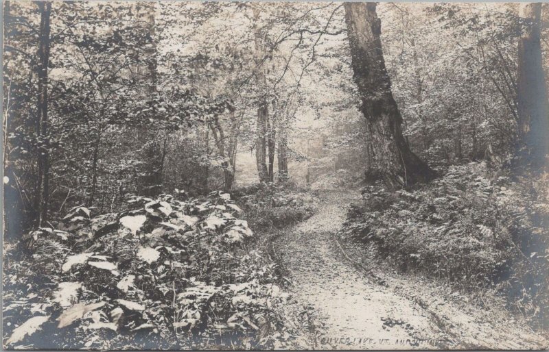 RPPC Postcard Woods Silver Lake VT