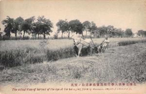 Hokkaido Japan Rye Harvesting Imperial University Antique Postcard J57999