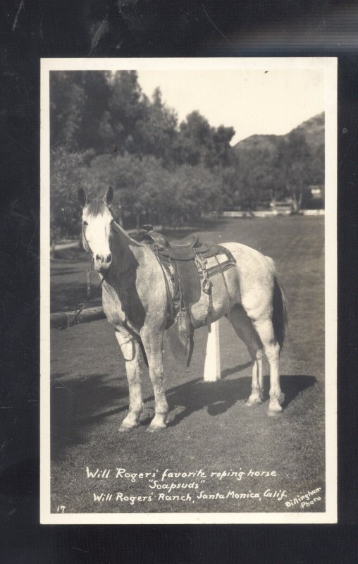 RPPC SANTA MONICA CALIFORNIA WILL ROGERS RANCH HORSE VINTAGE REAL PHOTO POSTCARD