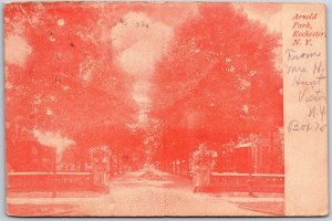 Rochester NY-New York, 1906 Arnold Park Street View Trees, Vintage Postcard