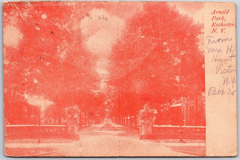 Rochester NY-New York, 1906 Arnold Park Street View Trees, Vintage Postcard