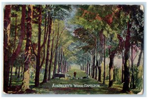 1907 Ainseley's Wood Hamilton Ontario Canada Posted Antique Postcard