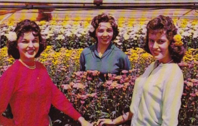 Florida Stuart One Of The Many Flower Farms 1960