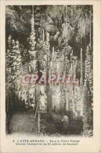 Postcard Old Aven Armand In the Forest Virgin Grande Stalagmite