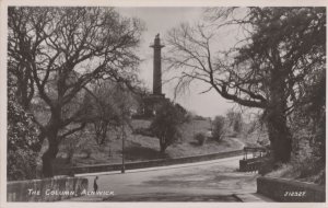 The Column Lion Alnwick Northumberland Real Photo Postcard