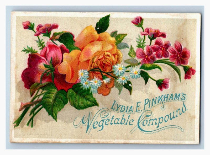 1880s Lydia E. Pinkham's Vegetable Compound Haywards CA Drug Store P193