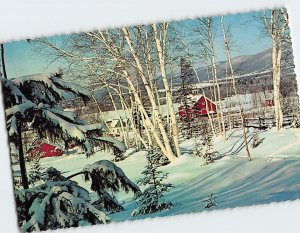 Postcard Winter Scene Country Side Happy Holidays Christmas Card