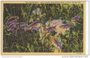 The Fish Kingdom Seen Through Glass Bottom Boats Silver Springs Florida Curteich