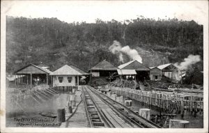 Sandakan Borneo Sawmill China Borneo Co LTD Vintage Postcard