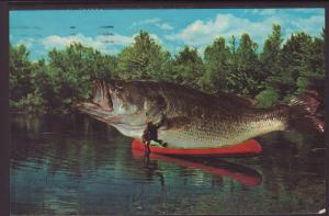 Exaggerated Largemouth Bass in Canoe BIN