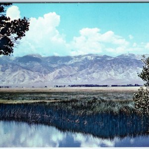 c1950s Dyer, NV Fish Lake Valley Desert Lake White Mountains Nature Scene A231
