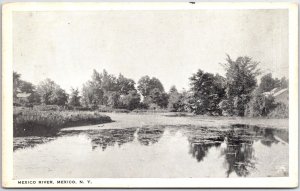 VINTAGE POSTCARD VIEW OF THE MEXICO RIVER AT MEXICO NEW YORK MAILED 1936