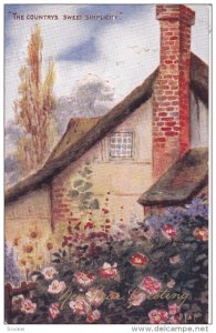 1900-1910´s; New Year Greeting, The Countrys Sweet Simplicity