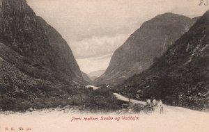 Parli Mellem Sande og Vadheim,Norway BIN