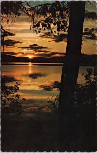 McLeod Lake BC British Columbia Unused Vintage Postcard D67