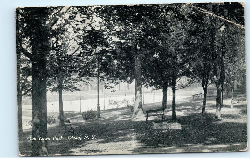 *1909 Oak Lawn Park Olean NY New York Black and White Vintage Postcard B89