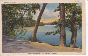 Illinois Greetings From Chillicothe 1939 Curteich