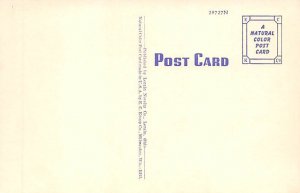 WM. A. Ely Stadium Elyria, Ohio OH Postcard